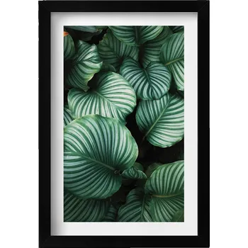 Obraz Závěsný obraz na zeď dekorace do bytu Velké zelené listy 20x30 cm