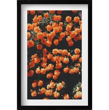 Obraz Nástěnný obraz v černém rámu do obýváku, kuchyně - Oranžové květy 40x60 cm