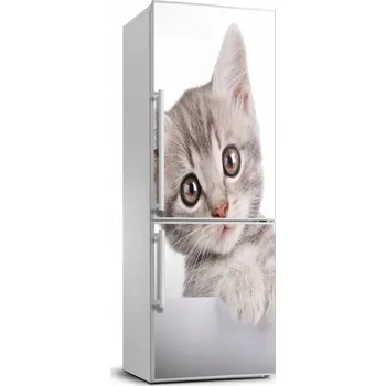 Fototapeta Samolepka / Fólie na lednici Šedá kočka 70x190 cm