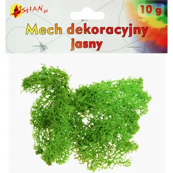 Obraz Dekorativní mech světlý 10g Shan