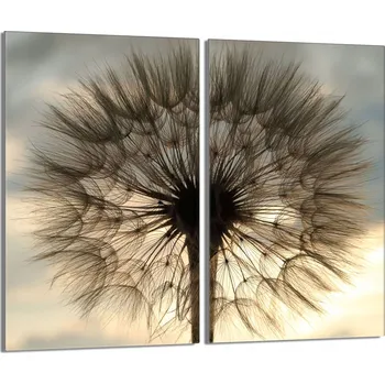 Obraz Krájecí deska TMK ArtDeko sklo 2 ks