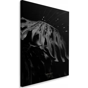 Obraz Obraz na plátně , Monstera čb 60x90