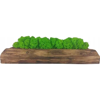 Obraz KVĚTINÁČ s mechem CHROBOTKEM dřevěný KVĚTINÁČ mech dekorativní dekorace