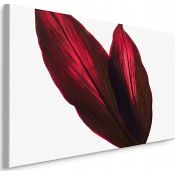 Obraz Obraz Canvas Červené LISTY zblízka 3D 70x50