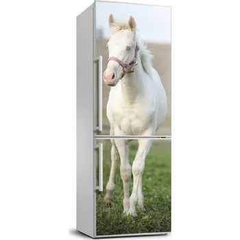 Fototapeta Foto tapeta na lednici lednička Bílý kůň albín 70x190