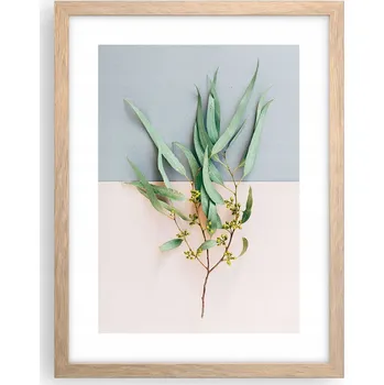 Obraz Zarámovaný Plakát světlý dub 30x40cm Pastelové rostliny Boho Nástěnný obraz ARTTOR Moderní obraz do obývacího pokoje Obraz do ložnice Vertikální fotoobraz Plakáty na zeď Foto Zarámované obrazy Umělecký tisk Nástěnná Nástěnná dekorace Rámeček Plexisklo rám