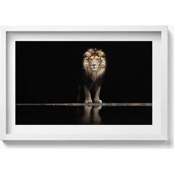 Obraz Obraz v bílém rámu dekorace na zeď Osamělé zvíře divoký lev 60x40 cm