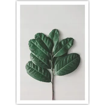 Obraz Plakát na zeď bez rámu 70x100 listy obraz plakáty do obývacího pokoje ložnice