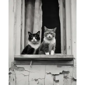 Plakát Plakát Pár v okně bez rámu 40 x 50 cm