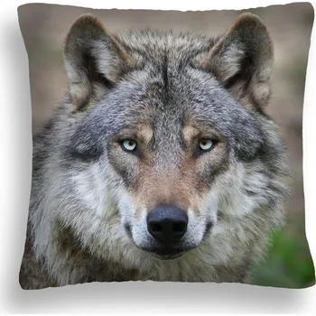 Polštář Polštář na spaní 40 x 40 cm