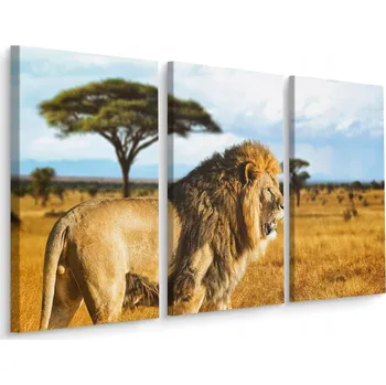 Obraz Obraz Tryptych Divoká Kočka LEV Savana Krajina 60x40