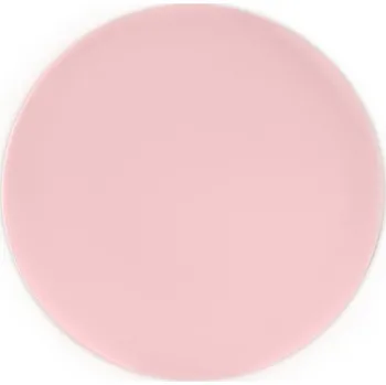 Talíř TALÍŘKY OPAKOVANĚ POUŽITELNÉ RŮŽOVÉ PLASTOVÉ 20 CM