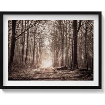 Obraz Závěsný obraz rámeček černé barvy Lesní cesta v sépiových barvách 80x60 cm