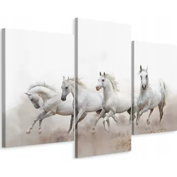 Obraz Obraz Tryptych Cválající KONĚ Poušť 3D 120x80
