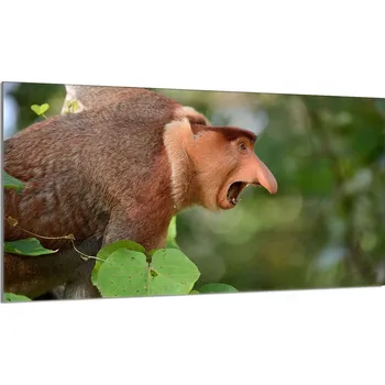 Obraz Krájecí deska TMK ArtDeko sklo 1 ks