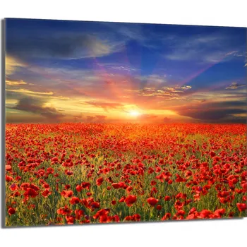 Kuchyňské prkénko Krájecí deska TMK ArtDeko sklo 1 ks