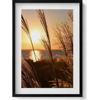 Obraz Dekorativní nástěnný obraz v černém rámu s fotkou Pšenice 50x70 cm