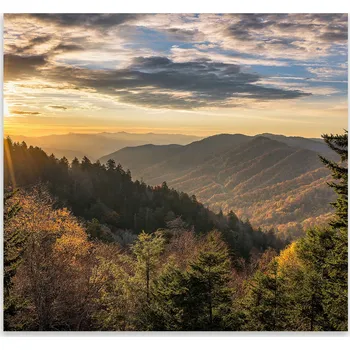 Kuchyňské prkénko Skleněná Ochranná Deska a Krájecí Prkénko | Indukce, Sporák ds-0407