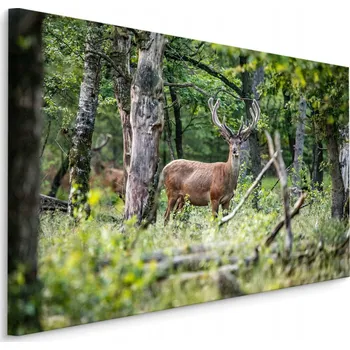 Obraz Obraz do Jídelny Jelen LES Stromy Příroda 40x30