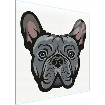 Kuchyňské prkénko Krájecí deska TMK ArtDeko sklo 1 ks