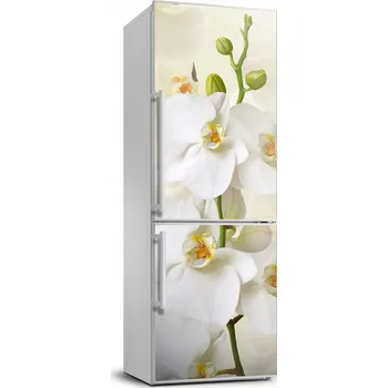 Fototapeta Nálepka fototapeta na ledničku Bílá orchidej