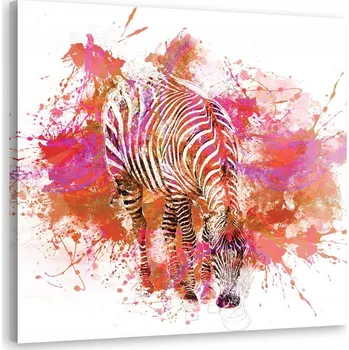 Obraz Obraz namalovaný barevně zebra - A Haase 50x50