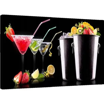 Obraz OBRAZ NA PLÁTNĚ NÁPOJE A OVOCE BARMANA 90x60