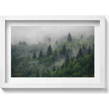 Obraz Nástěnný obraz v bílém rámu do obýváku kuchyně Krajina les v mlze 30x20 cm