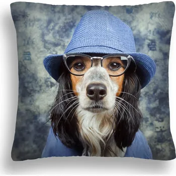 Polštář POLŠTÁŘ PES 03 S BRÝLEMI JASIEK 50 X 50