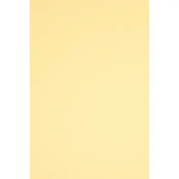 Barevný karton bristol 160g, krémový, 45x64 cm, 10 listů