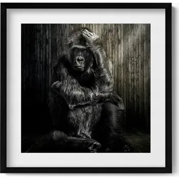 Obraz Dekorace obraz v černém rámu na zeď Přemýšlivá opice ve stínu 50x50 cm