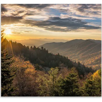 Kuchyňské prkénko Skleněná Ochranná Deska a Krájecí Prkénko | Indukce, Sporák ds-0407