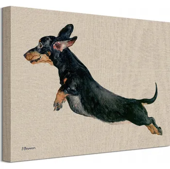 Obraz Jane Bannon: Skákající jezevčík - Obraz 40x30 cm