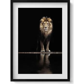 Obraz Nástěnný obraz v černém rámu s grafikou Osamělé divoké zvíře lev 50x70 cm