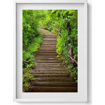 Obraz Dekorativní nástěnný obraz v rámu s grafikou Schody uprostřed lesa 50x70 cm