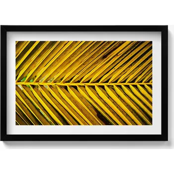 Obraz Dekorativní nástěnný obraz v černém rámu do pokoje Listy rostliny 60x40 cm