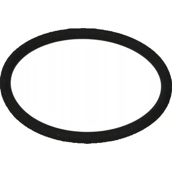 O-kroužek převodovky EURORICAMBI 95534396