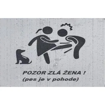 Obraz Cedule Pozor špatná žena!