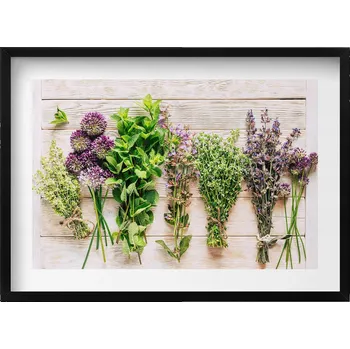 Obraz Obraz v černém rámu nástěnná dekorace Rostliny a bylinky na prknech 70x50 cm