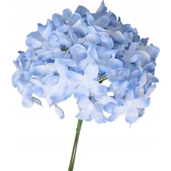 Obraz Dekorativní květina 6ks