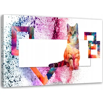 Obraz Obraz na plátně - Plátno, vícebarevná kočka 60x40