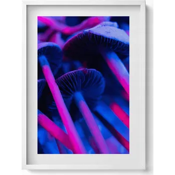 Obraz Dekorativní obraz v bílém rámu na zeď Magické barevné houby 50x70 cm