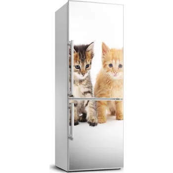 Fototapeta Samolepka / Fólie na ledničku Šedá a zrzavá kočka 70x190 cm