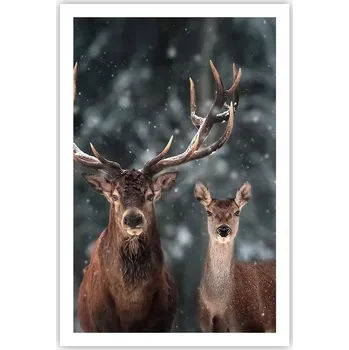 Obraz Obraz plakát do obýváku ložnice 61x91 jelen foto plakáty na zeď bez rámu