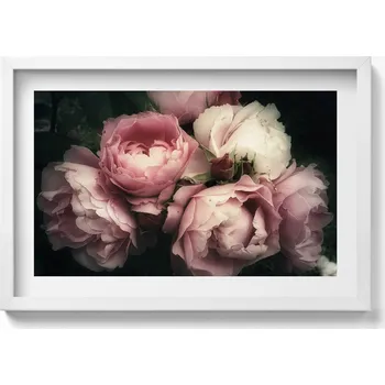 Obraz Obraz s bílým rámem a grafikou na zeď - kytice růžových růží ve vintage stylu, 60x40 cm