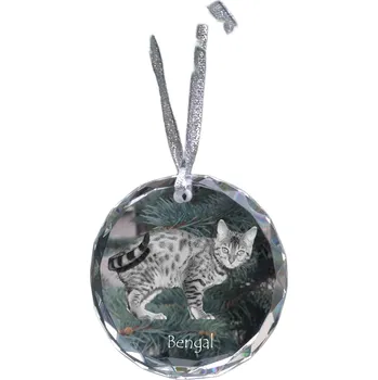 Obraz Bengálská - křišťálová vánoční koule s fotografií, fotografie kočky v křišťálu, perská