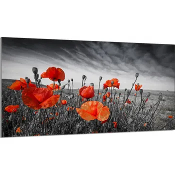 Obraz Krájecí deska TMK ArtDeko sklo 1 ks