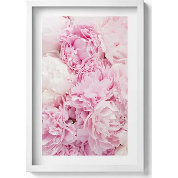 Obraz Elegantní obraz do obývacího pokoje v bílém rámu Jemné květy pivoňky 40x60 cm