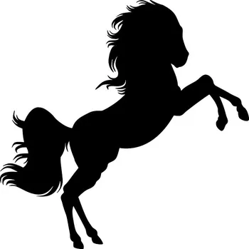 Obraz Samolepka na zeď Drukant Kůň 100x100 cm černá