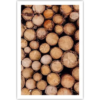 Obraz Obraz plakát do obýváku ložnice 61x91 dřevo plakáty na zeď bez rámu